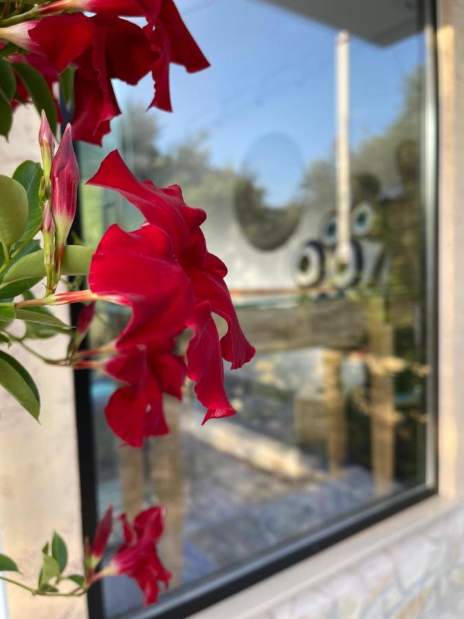 Vila Natali Himare Eksteriør bilde